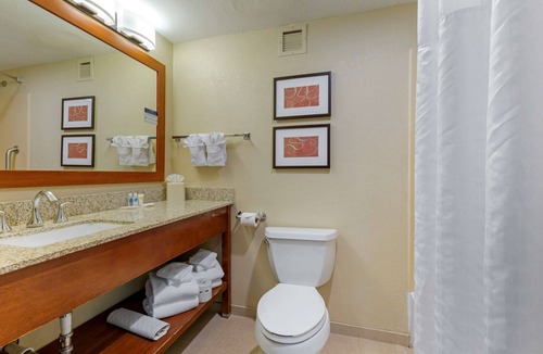 Fredericksburg Hotel | Comfort Suites Fredericksburg South