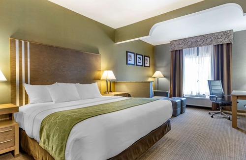 Southgate Hotel | Comfort Suites Southgate-Detroit