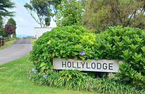 New Plymouth Apartment | Comfortable and private studio unit set in a lovely garden only 3.5km from city