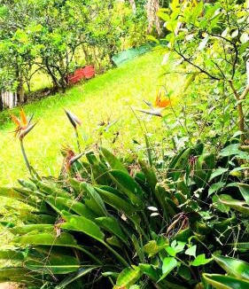 Medellin Apartment | Comfortable and private country-style studio apartment