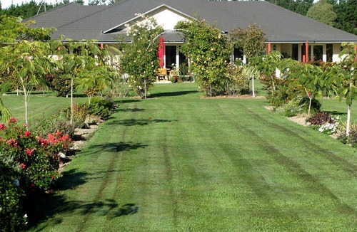 Tinwald Cabin | Comfortable Bed and Breakfast Accommodation with a Garden in Canterbury, New Zealand