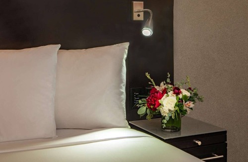 East Cambridge Hotel | Comfortable Cambridge Room w/River Views & Indoor Pool - MIT Nearby