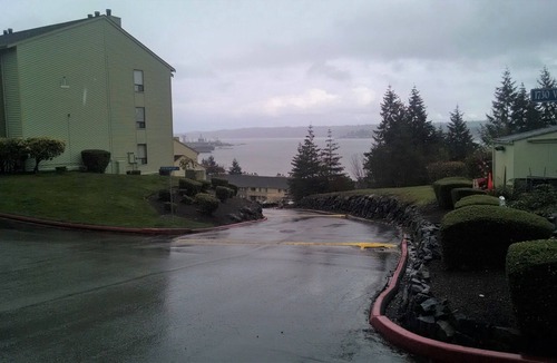Navy Yard City Condo | Comfortable condo with mtn and water view. Close to Navy base and Seattle ferry.