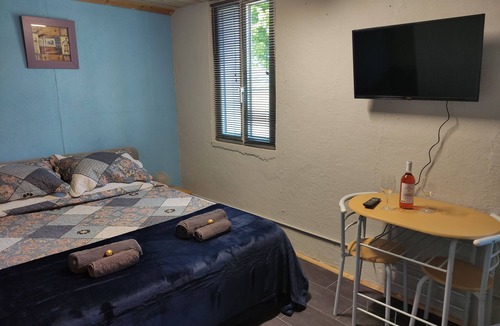 Pionsat Apartment | Comfortable, cosy studio apartment