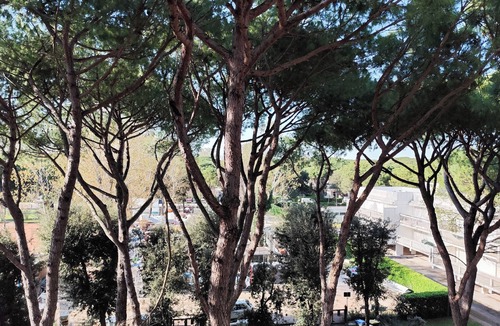 Jesolo Pineta Apartment | Comfortable flat near the beach