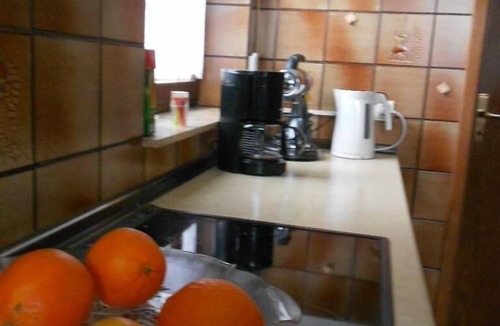 Bad Duerrheim Apartment | Comfortable holiday apartment with a big garden, centrally but quietly located in Bad Dürrheim