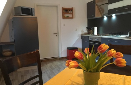 Kirnitzschtal Apartment | comfortable nice apartment 70 sqm in historic mill