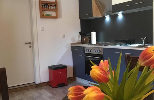 Kirnitzschtal Apartment | comfortable nice apartment 70 sqm in historic mill