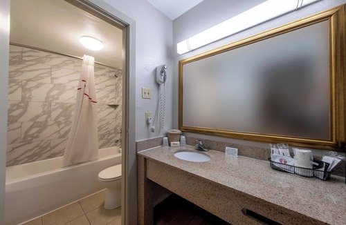 Charlottesville Hotel | Comfortable & Pet-Friendly Room Perfect for Budget Travelers in Charlottesville