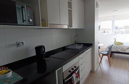 Valdivia Apartment | Comfortable studio apartment Isla Teja