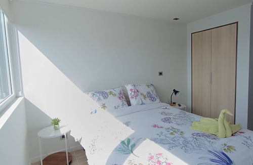 Valdivia Apartment | Comfortable studio apartment Isla Teja