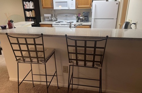Fishers Apartment | Comfy Apartment for Eclipse Totality! Walk to Town Center, near Conner Prairie