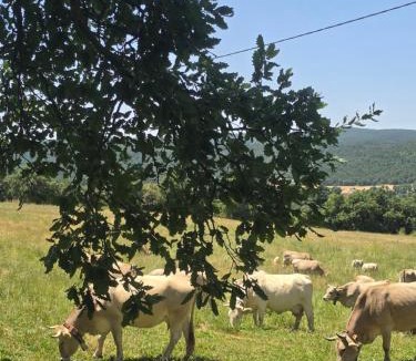 Capolat House | Complex Rural Can Caubet