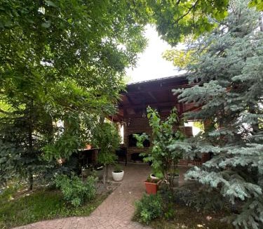 Ip House | Complex Trans Bitum