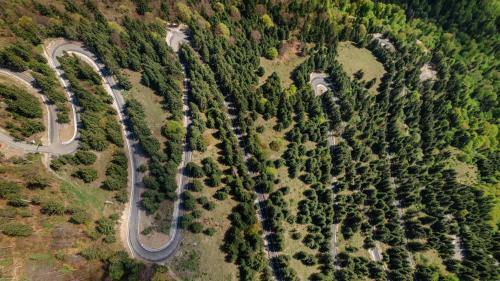 Sant Hotel | Complex Turistic Alpina Blazna Sant