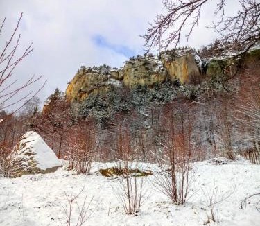Braesti Villa | Conacul Copilăriei