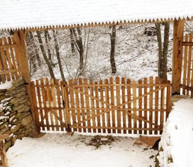 Braesti Villa | Conacul Copilăriei