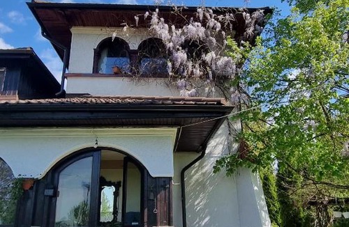 Joita House | Conacul cu Nuci