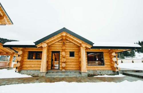 Dorna Candrenilor House | Conacul IOSIF