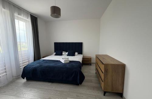 Tirgu Mures Villa | Concept Residence