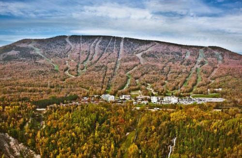 Beaupre Apartment | Condo climatisé près du Mont Sainte-Anne avec parc aquatique, piscine, spa, gym, arcades et billard !