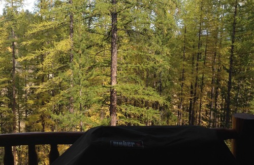 East Kootenay Condo | Condo with a mountain view from private hot tub at the base of the ski hill