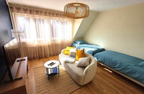 Saverne Apartment | Confortable Spacieux Grand Rue - Garage