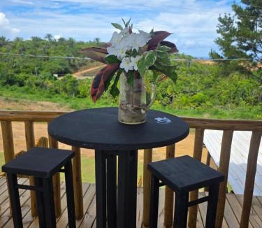 Serra Grande House | Container - Pura Vida
