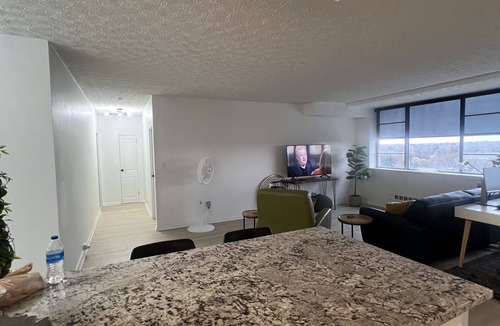 Franklin Park Condo | CONTEMPORARY DOWNTOWN CONDO--BEAUTIFULLY RENOVATED & NEWLY FURNISHED