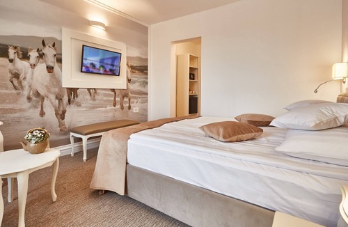 Tirgu Mures Hotel | Continental Forum Tirgu Mures