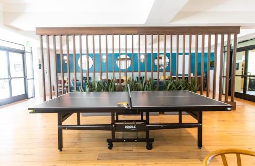 Irvine Business Complex Apartment | Continuum Homes - Irvine Apartments