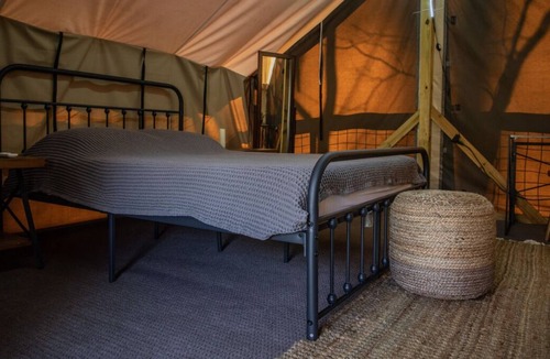 Saluda Cabin | Convenient Stay, Superb Location! Few Steps to Green River Game Lands