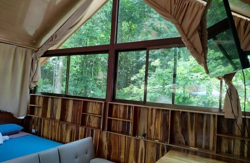 Ballena Hotel | Cool Waters Jungle Villas