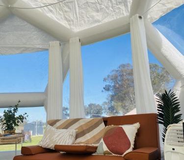 Comaum Other | Coonawarra Hampton Bubble 1