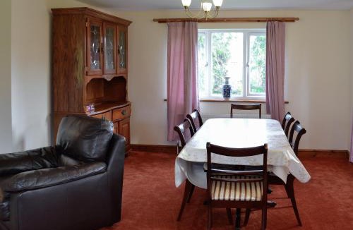 Bridport House | Copper Beech