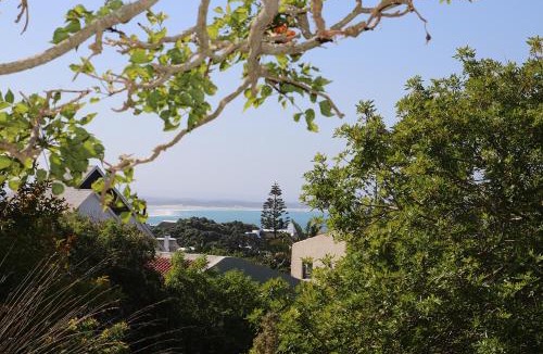 Saint Francis Bay Apartment | Coral Tree SelfCatering