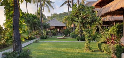 Amed Resort | Coral View Villas
