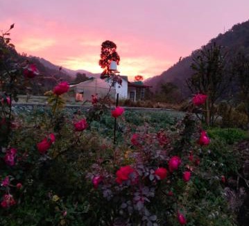 Sona Nadi Range Apartment | Corbett hill center river home stay