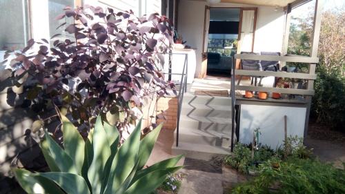 Geneva House | Corner Cottage Rear Studio - Attached - Geneva in Kyogle