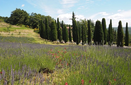 San Gimignano Apartment | Cornocchio 2 - Apartment with swimming pool