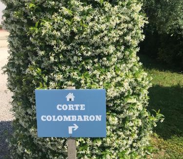 Colà Di Lazise Apartment | Corte Colombaron