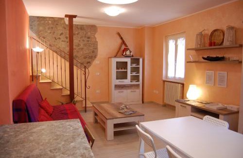 Cola House | Corte Colori