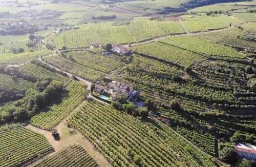 Soave Apartment | Corte dei Soavi Suites - Apartments