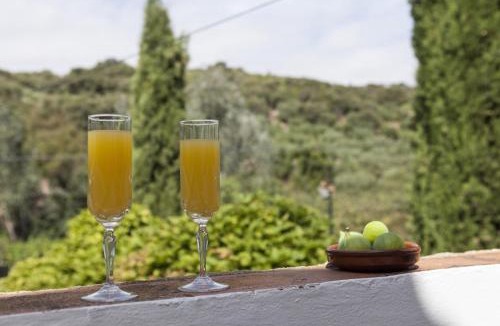 Carcabuey House | Cortijo La Algallumbilla