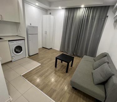 Stefanestii de Jos Apartment | Cosmopolis Single Bedroom Apartment 204