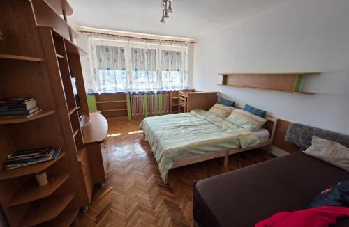 Emanoil Gojdu Apartment | Cosy 2-bedroom apartment with an amazing panorama