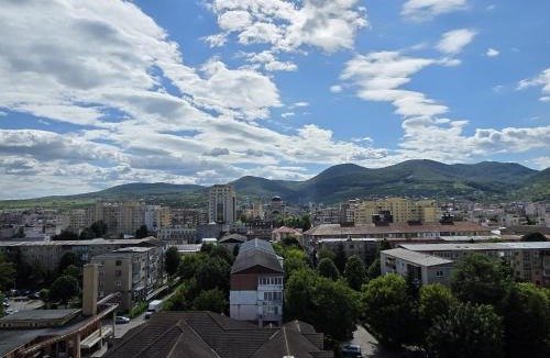 Emanoil Gojdu Apartment | Cosy 2-bedroom apartment with an amazing panorama