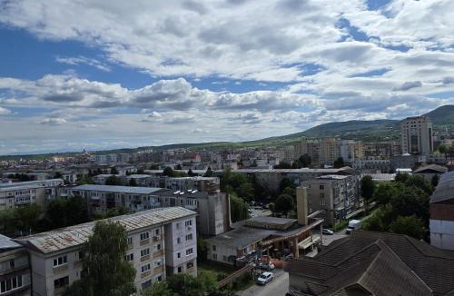 Emanoil Gojdu Apartment | Cosy 2-bedroom apartment with an amazing panorama