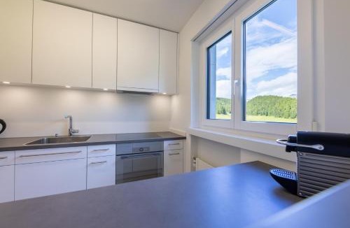 Champfer Apartment | Cosy Apartment facing Piz Rosatsch with eFireplace, Pool & Sauna