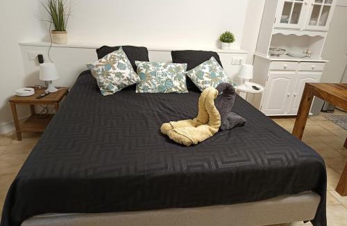Arles City Centre Apartment | Cosy Arles